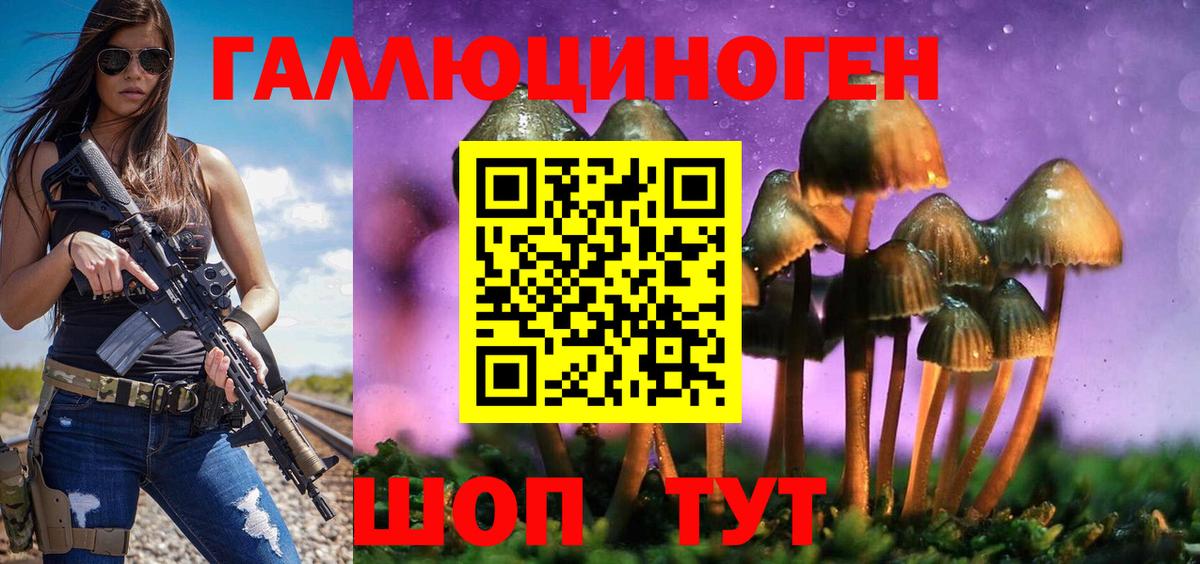Псилоцибиновые грибы Psilocybe Братск