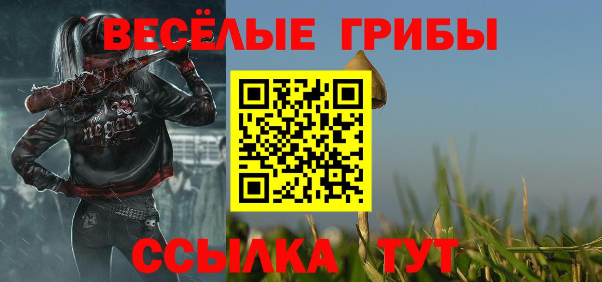 Псилоцибиновые грибы Psilocybe  Галлюциногенные грибы Psilocybe  Братск  Вход с VPN 